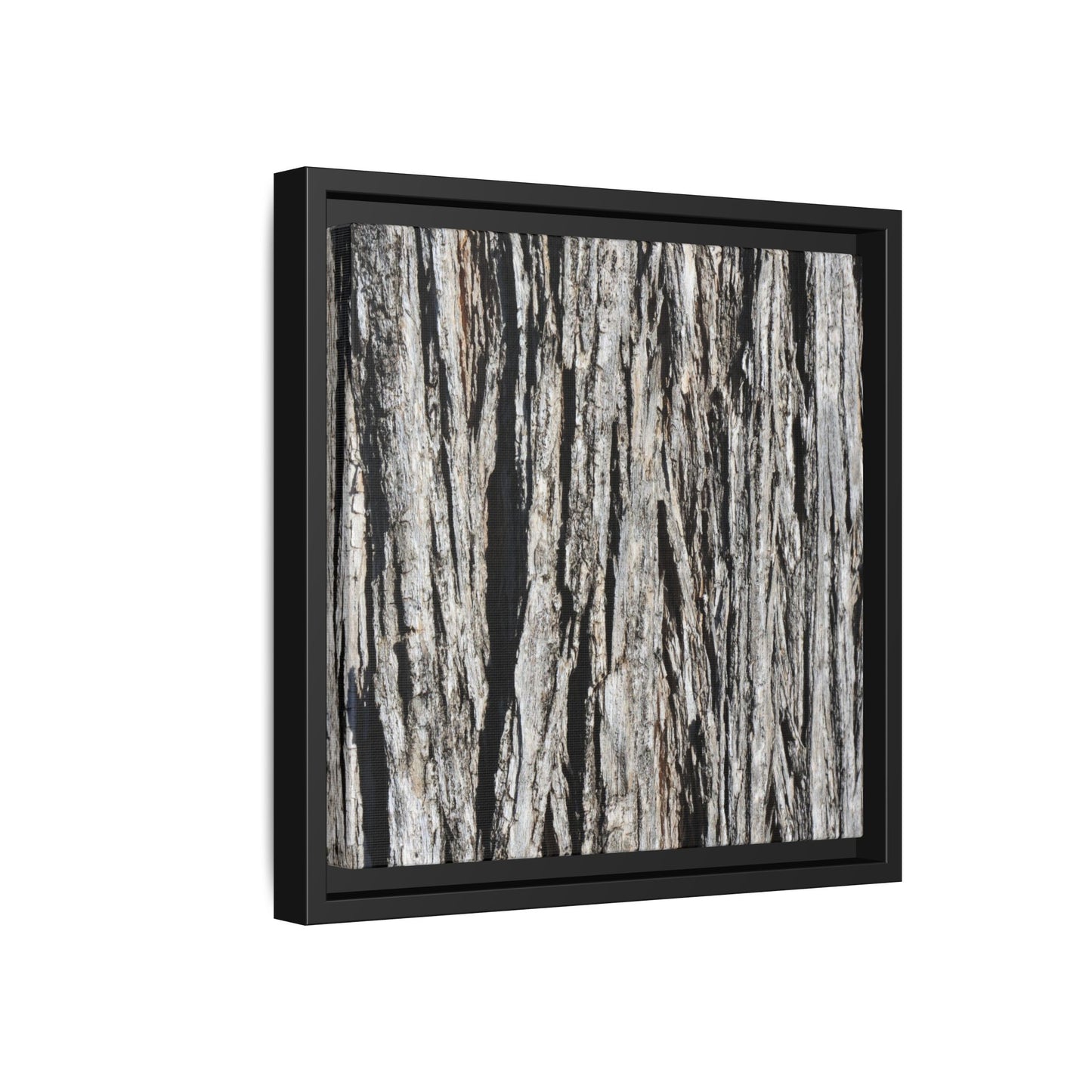 Nature's Abstract - Unique Stretched Canvas Wall Art