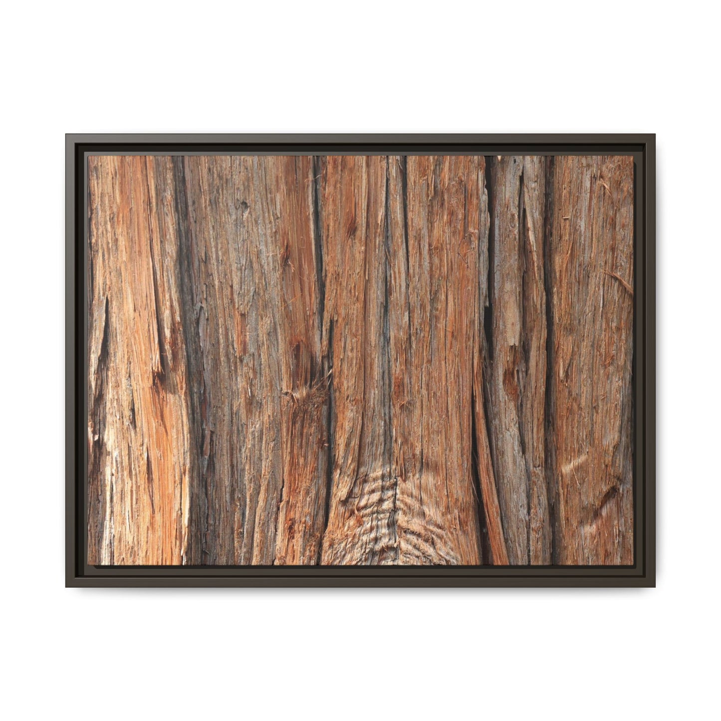 Echoes of Timber - Unique Stretched Canvas Wall Art