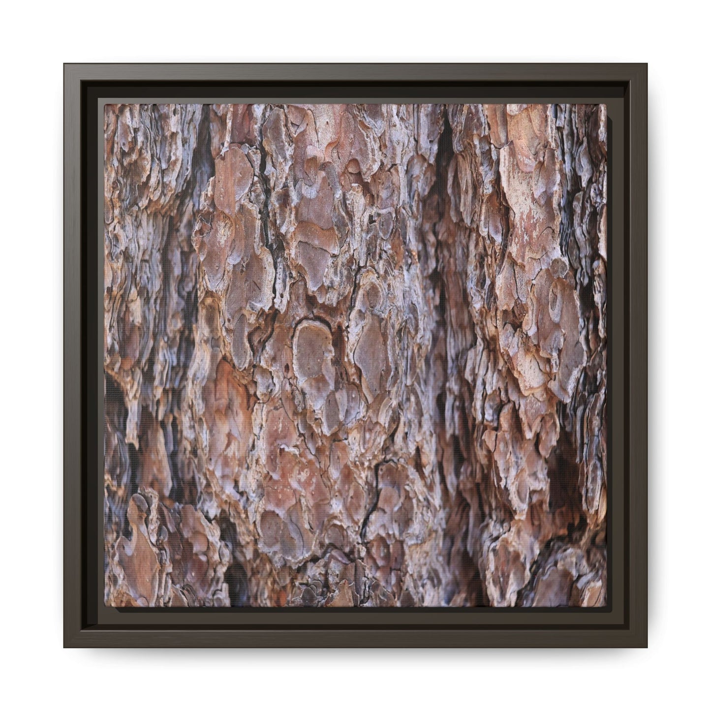 Woody Layers - Unique Stretched Canvas Wall Art