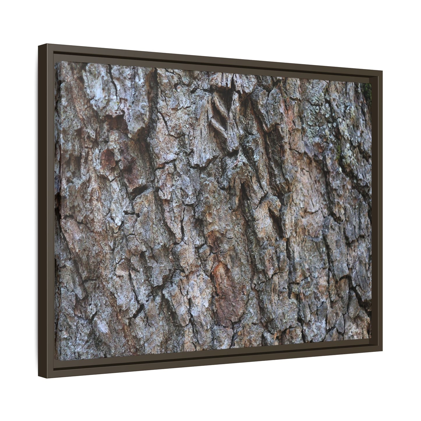 Woodland Skin - Unique Stretched Canvas Wall Art