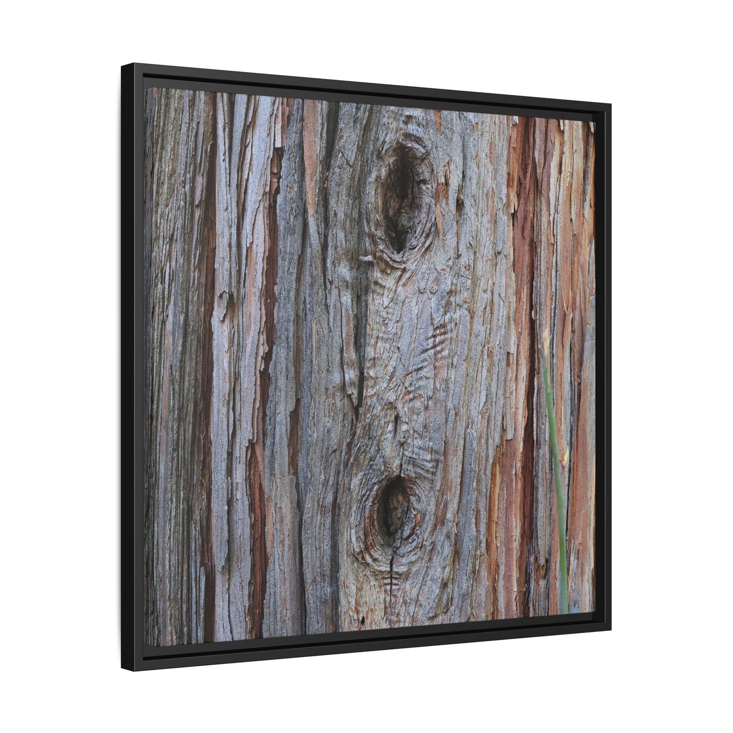 Knotty Nature - Unique Stretched Canvas Wall Art