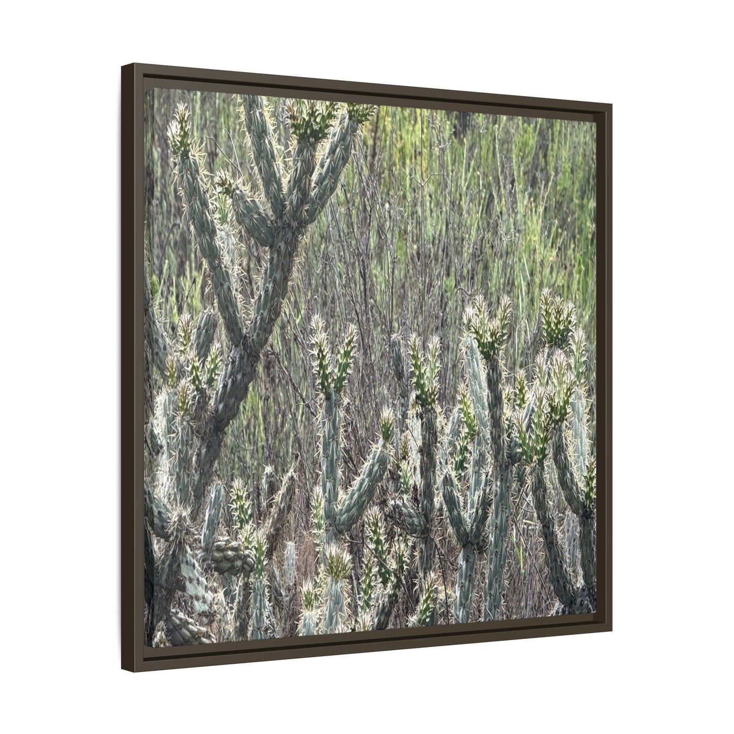 Prickly Paradise - Unique Stretched Canvas Wall Art