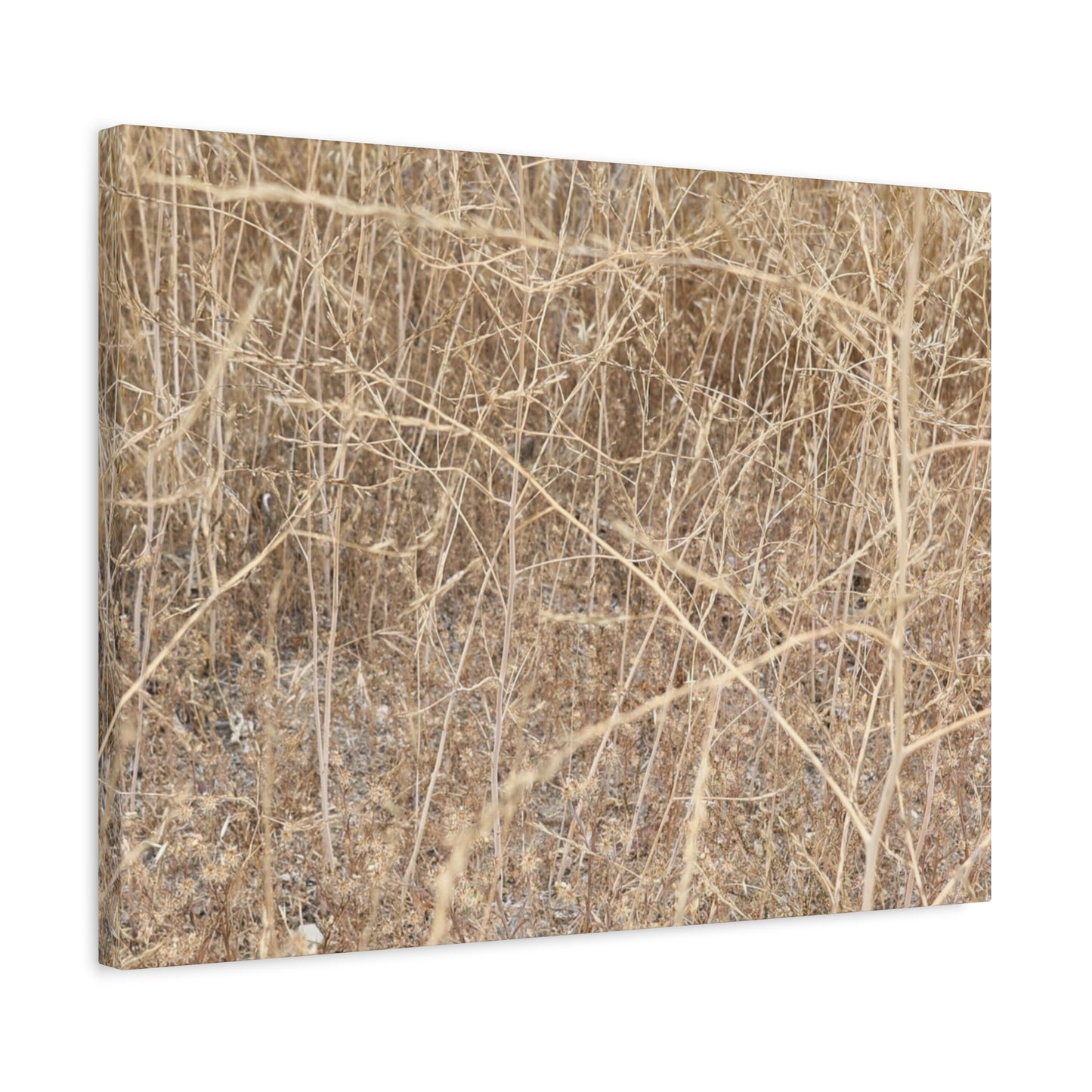Dry Echoes - Unique Frameless Canvas Wall Art