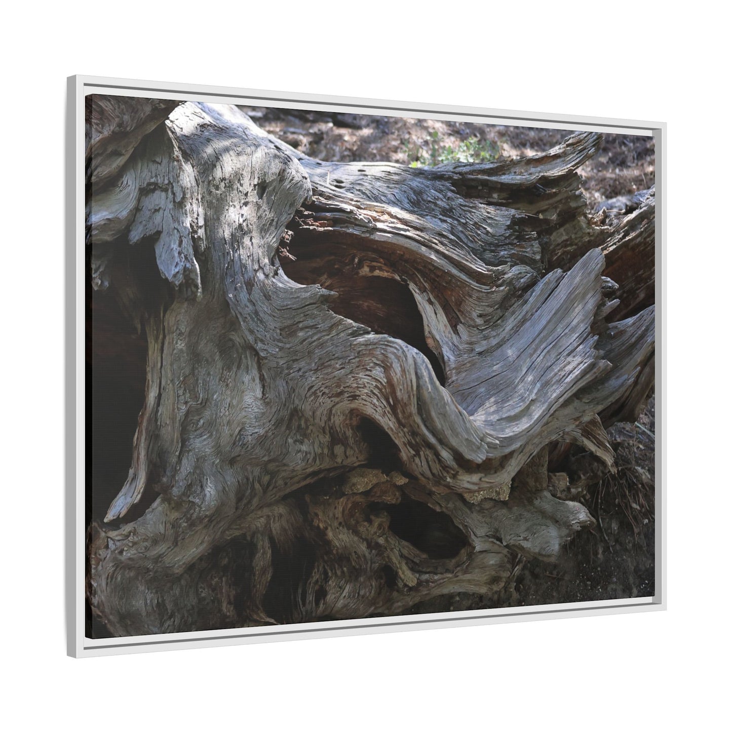 Twisted Memories - Unique Stretched Canvas Wall Art