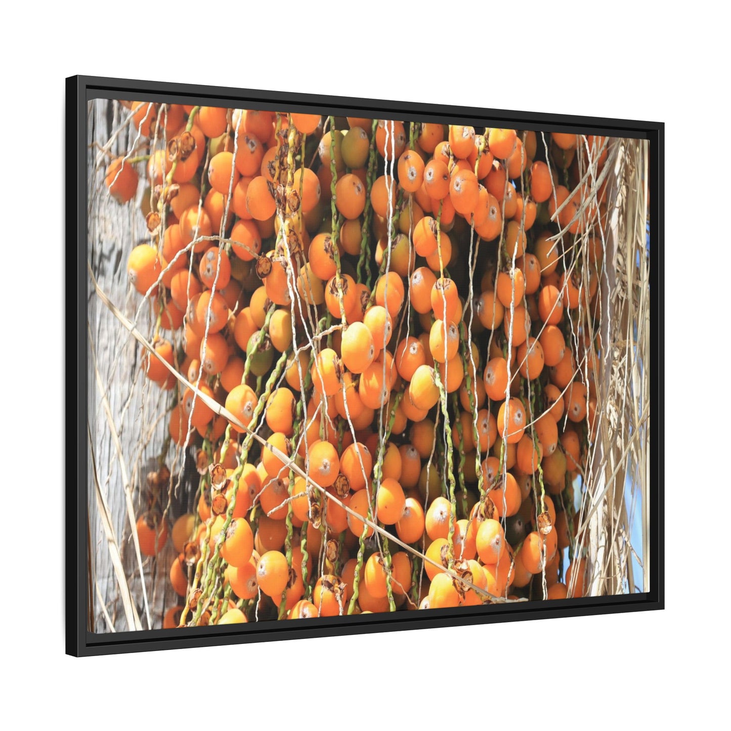 Clusters of Sunlight - Unique Canvas Wall Art