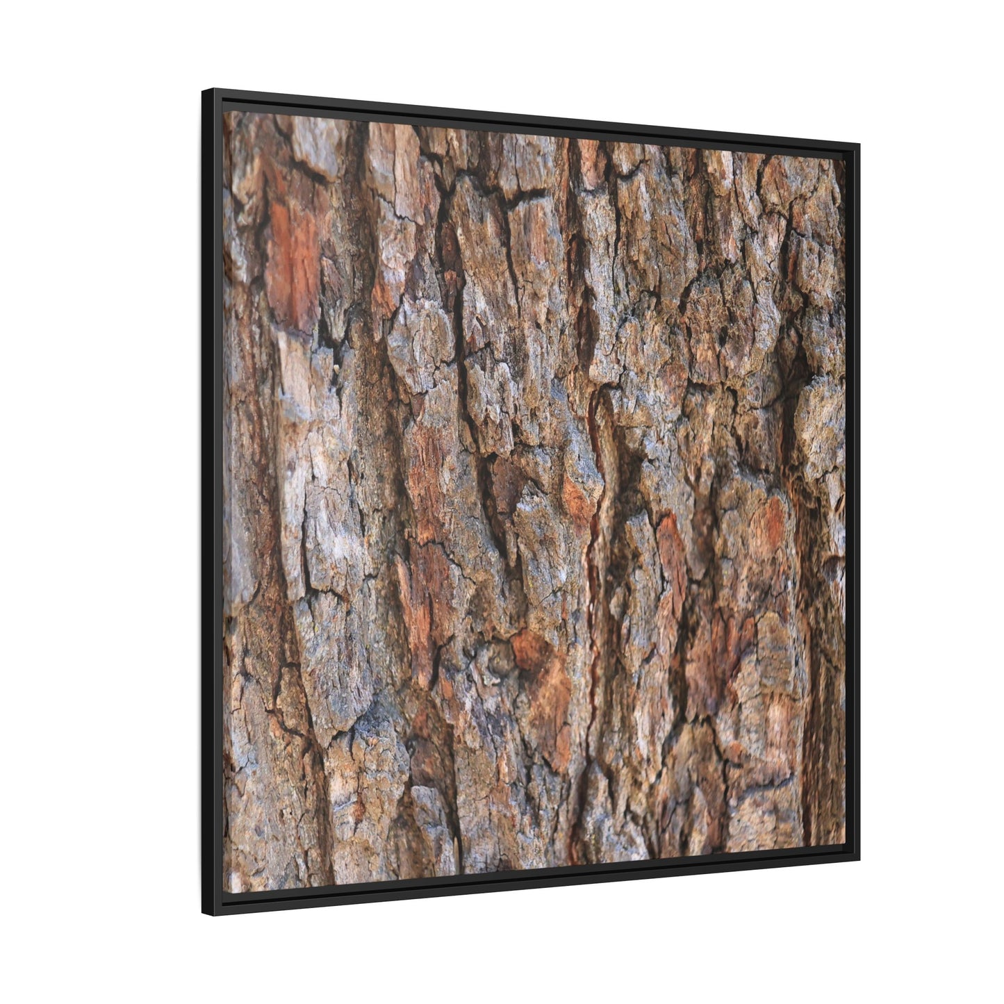 Tree's Timeworn Tale - Unique Stretched Canvas Wall Art