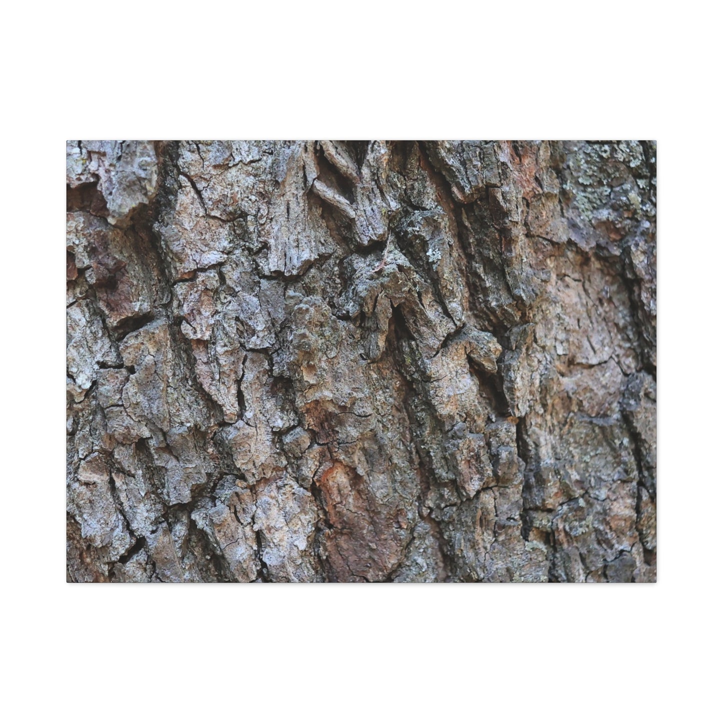 Rugged Canvas - Unique Frameless Canvas Wall Art