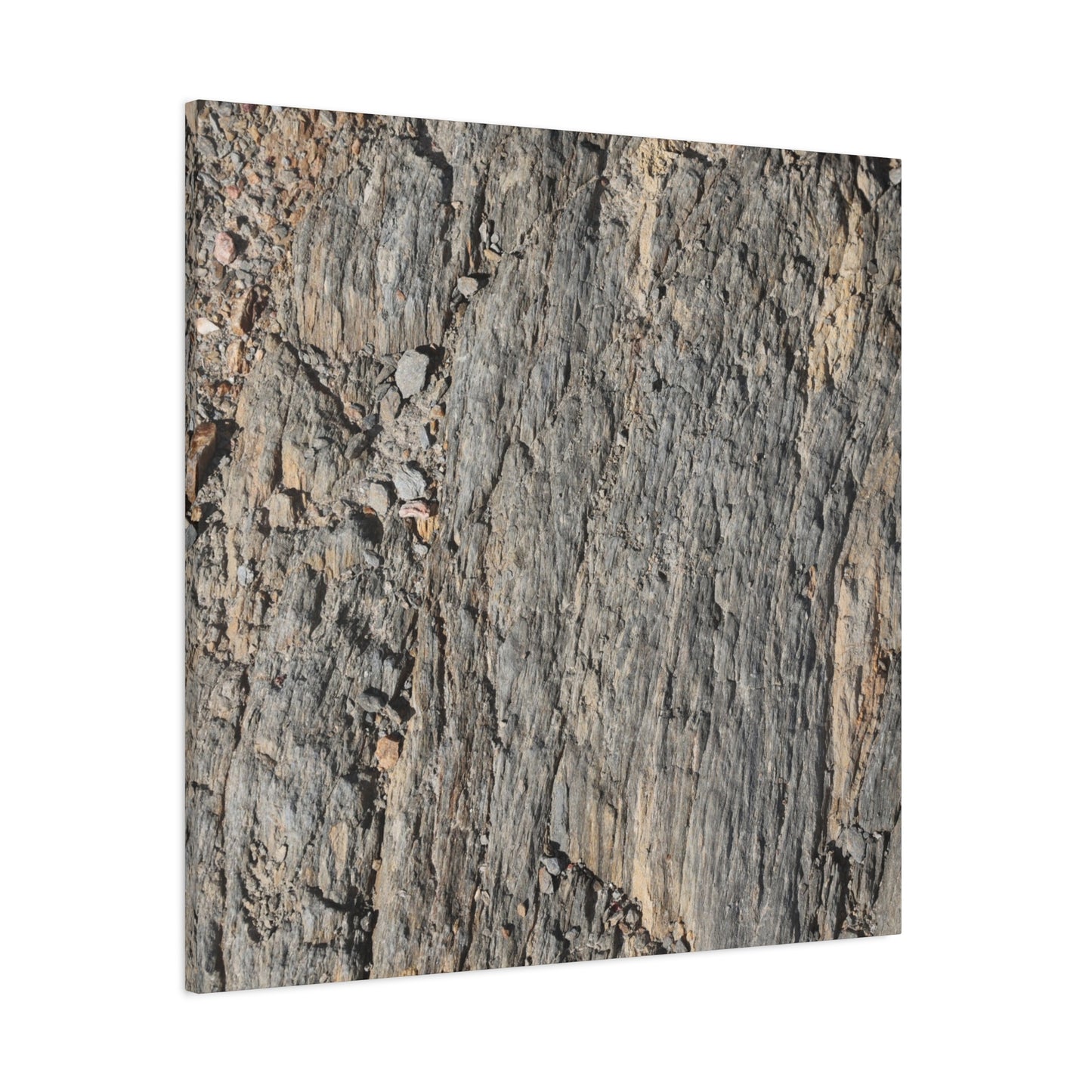 Bark Echoes - Unique Frameless Canvas Wall Art