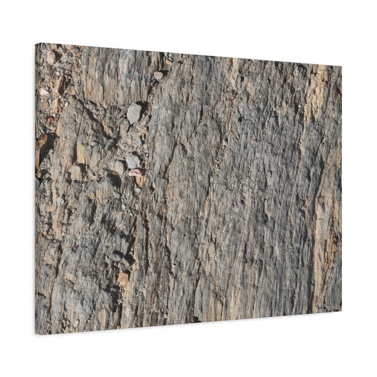 Bark Echoes - Unique Frameless Canvas Wall Art