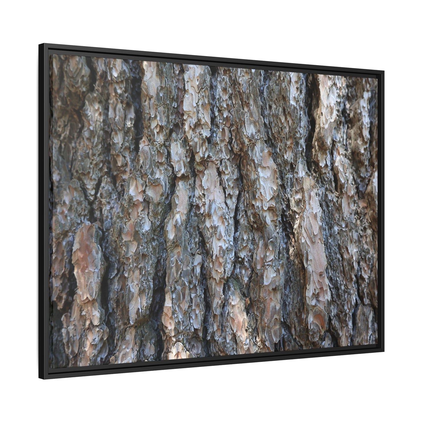 Bark Whispers - Unique Stretched Canvas Wall Art
