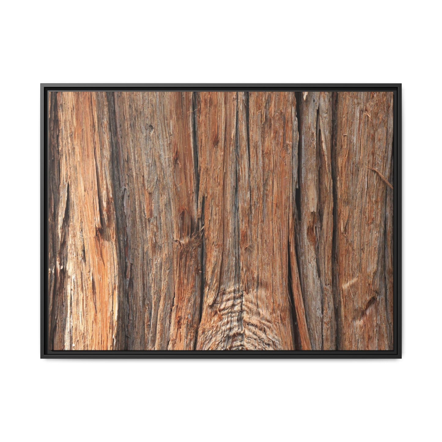 Echoes of Timber - Unique Stretched Canvas Wall Art