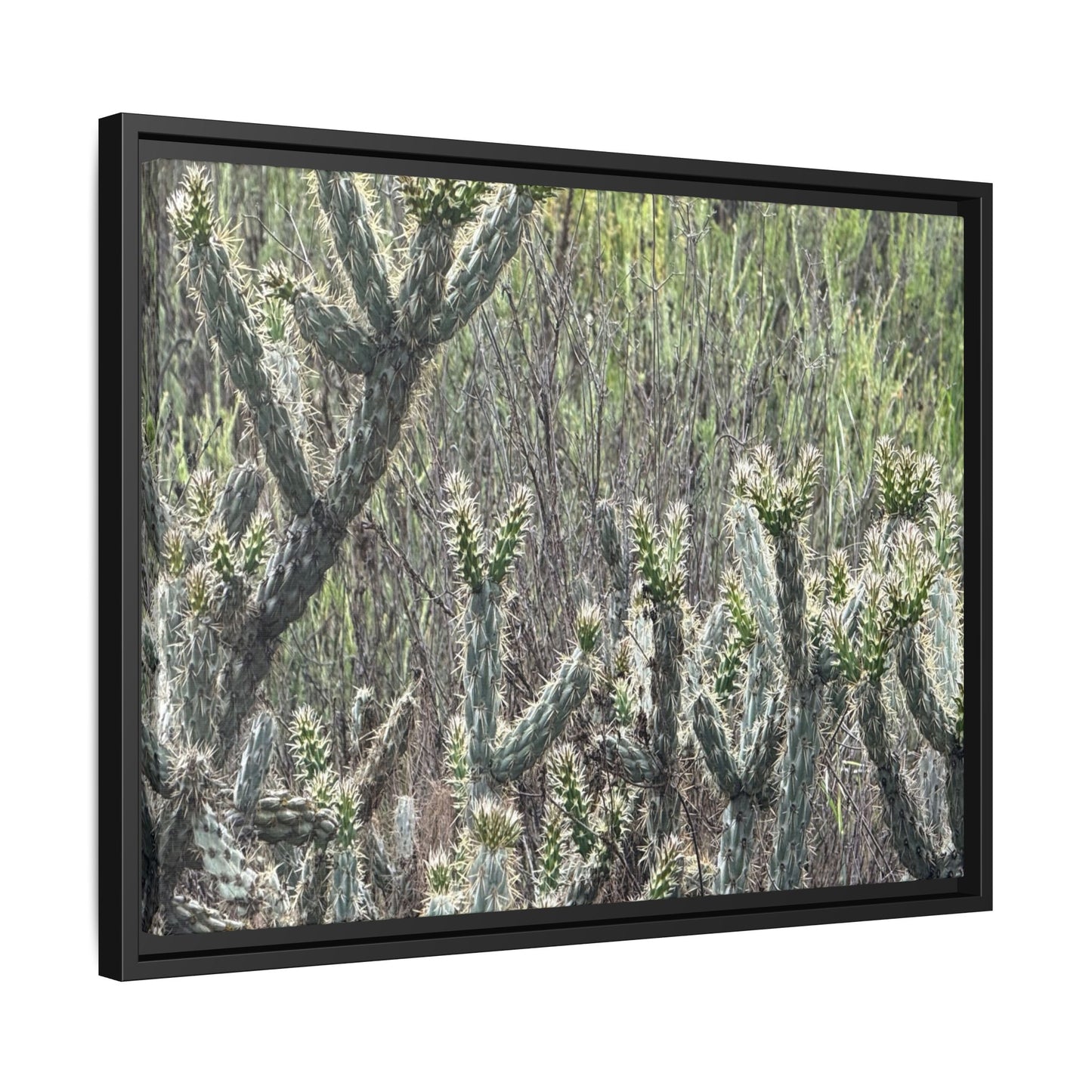 Prickly Paradise - Unique Stretched Canvas Wall Art