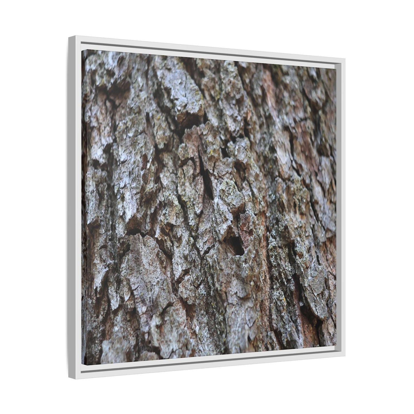 Woodland Canvas - Unique Stretched Canvas Wall Art