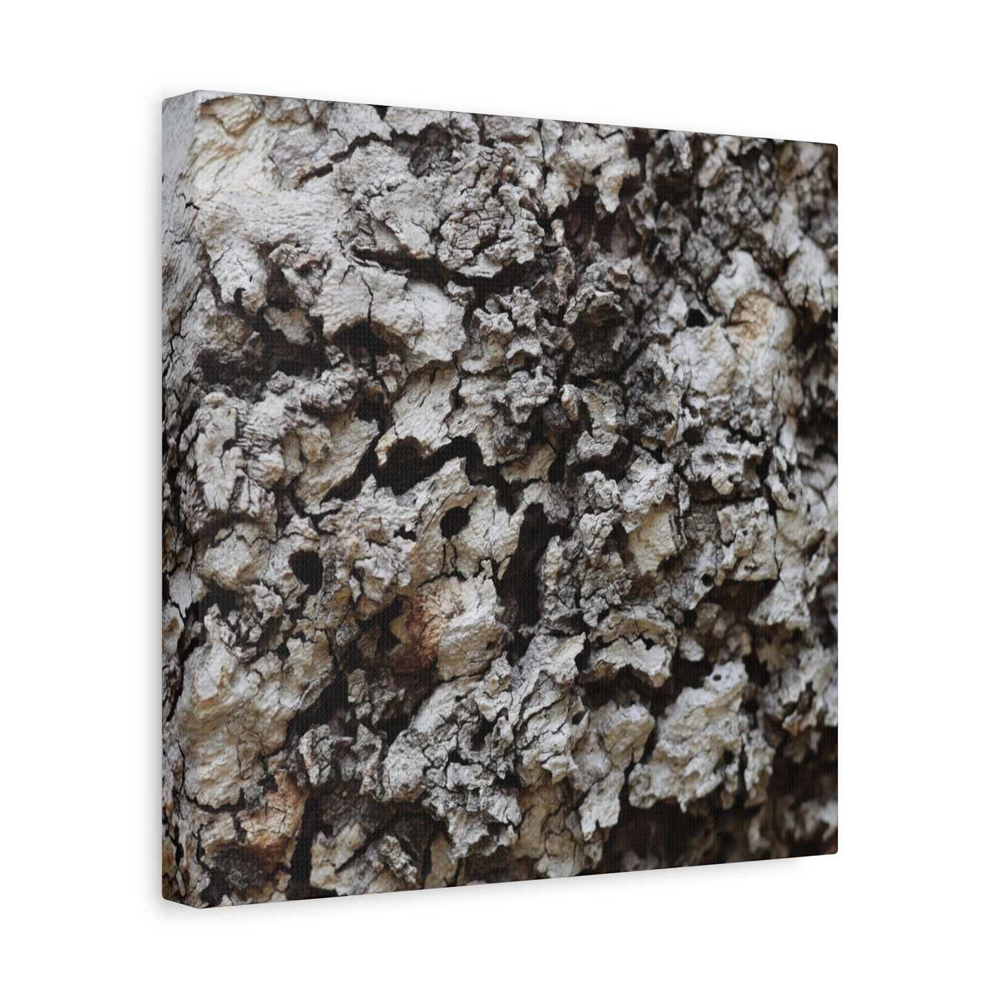 Cracked Earth Tapestry - Unique Frameless Canvas Wall Art