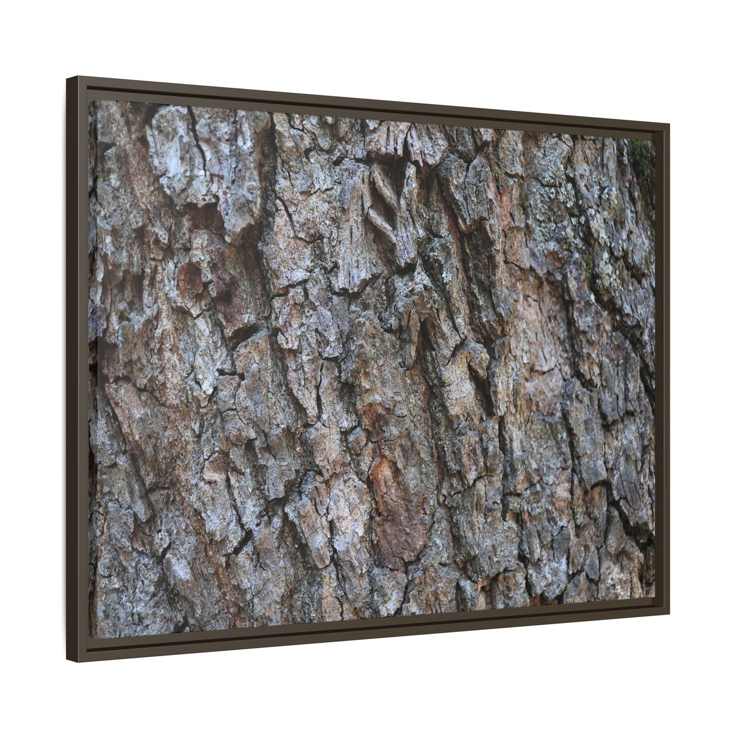 Woodland Skin - Unique Stretched Canvas Wall Art