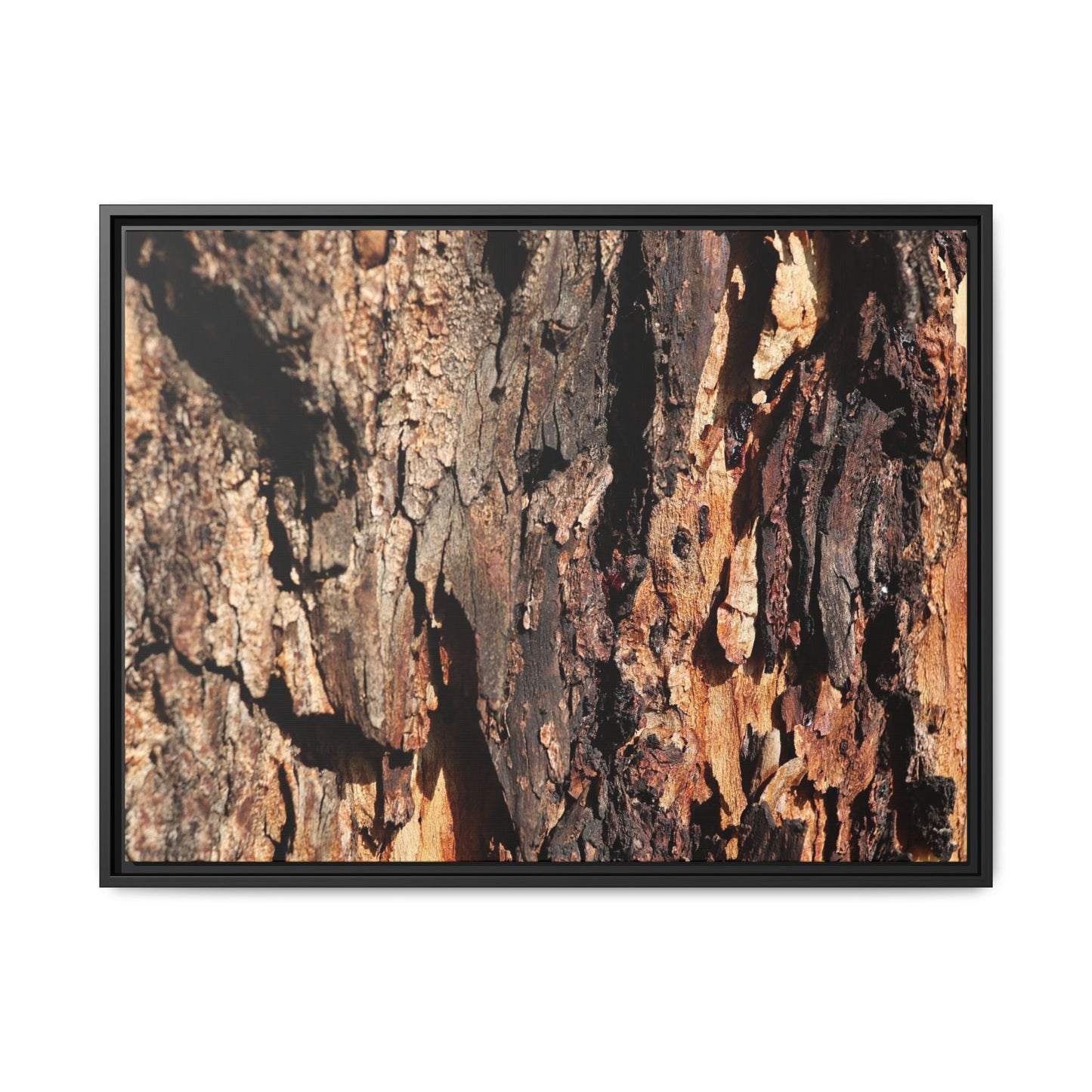 Rugged Beauty - Unique Stretched Canvas Wall Art
