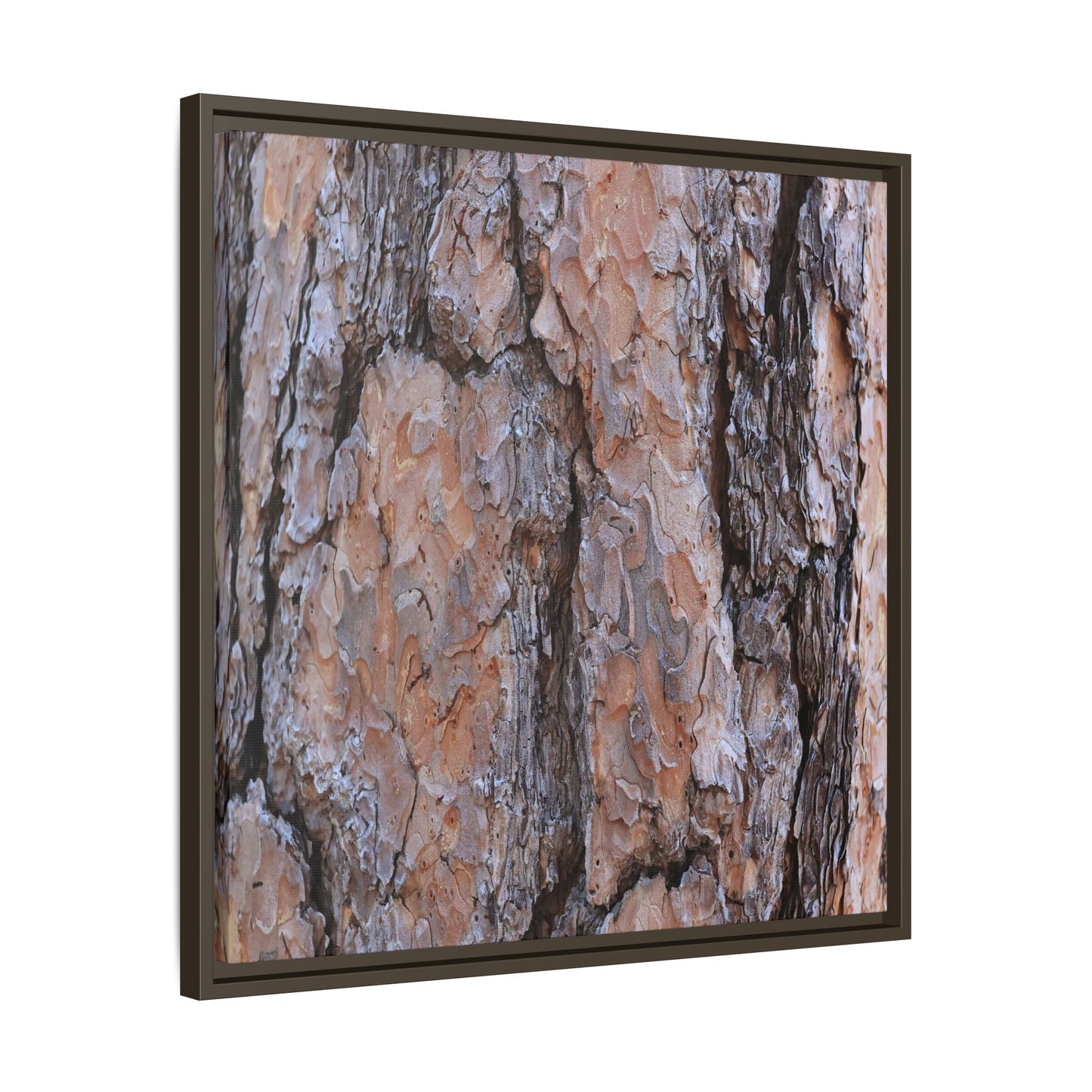 Tree Skin Symphony - Unique Stretched Canvas Wall Art