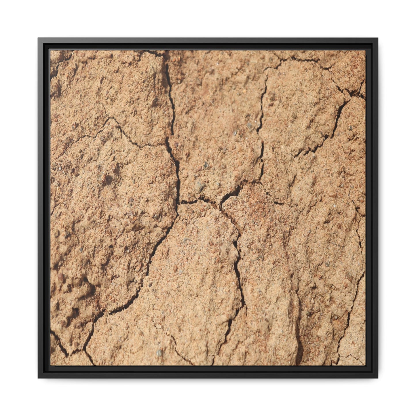 Parched Land - Unique Stretched Canvas Wall Art