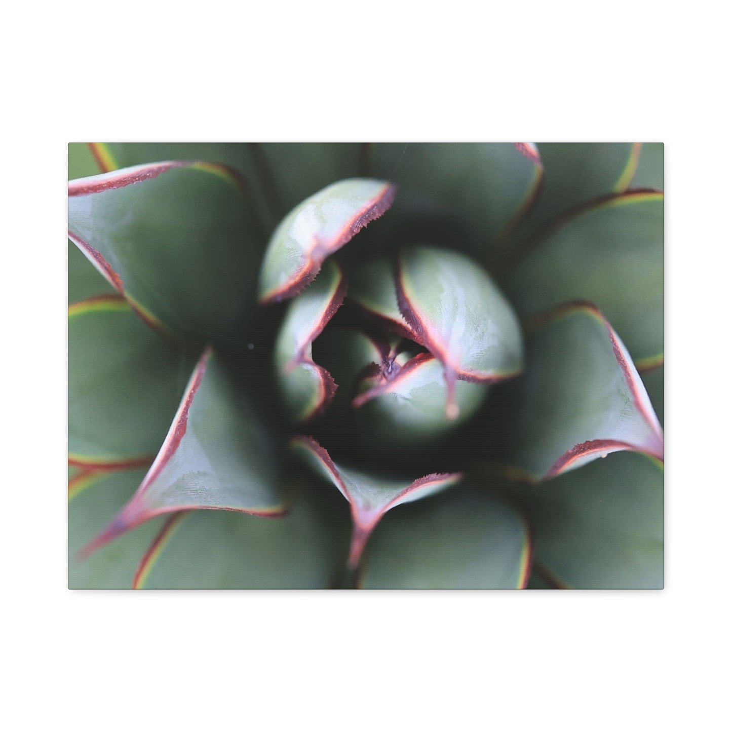 Emerald Spiral - Unique Frameless Canvas Wall Art