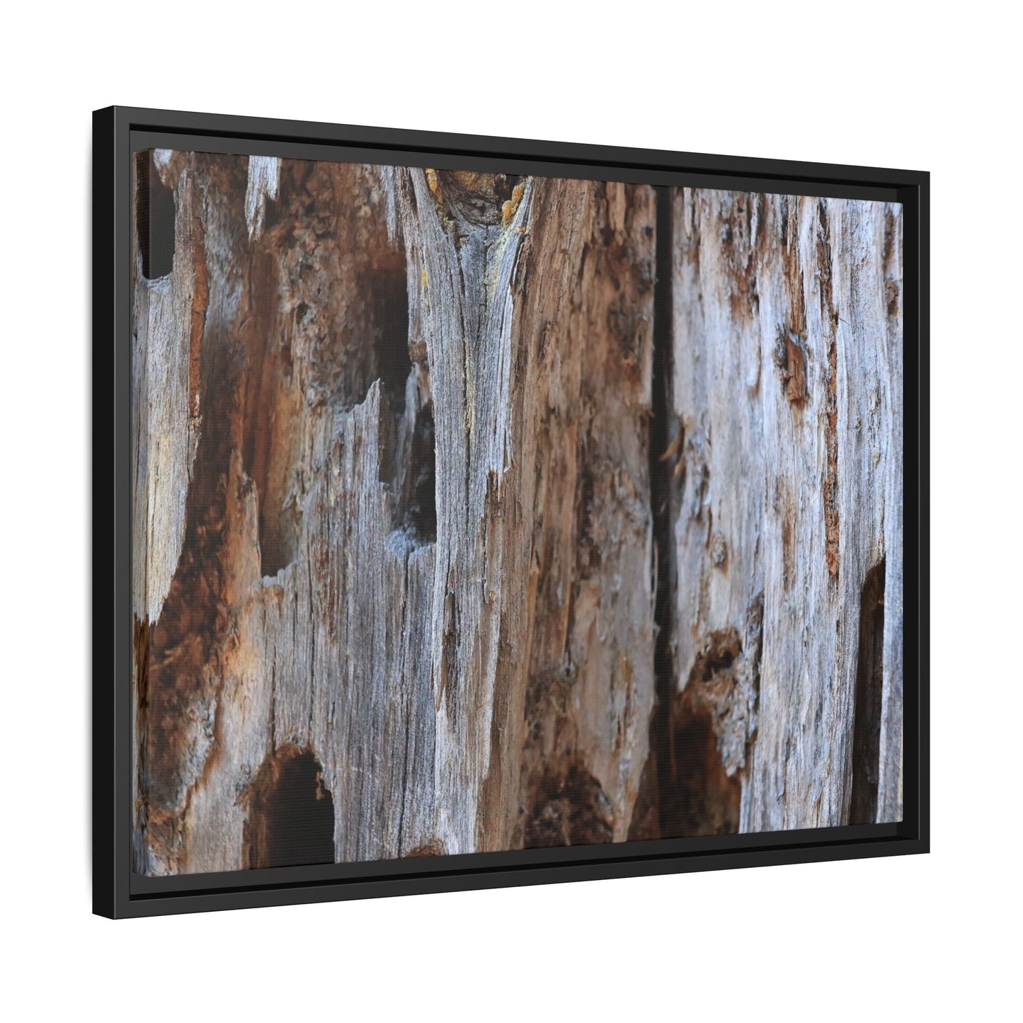 Decaying Splendor - Unique Stretched Canvas Wall Art