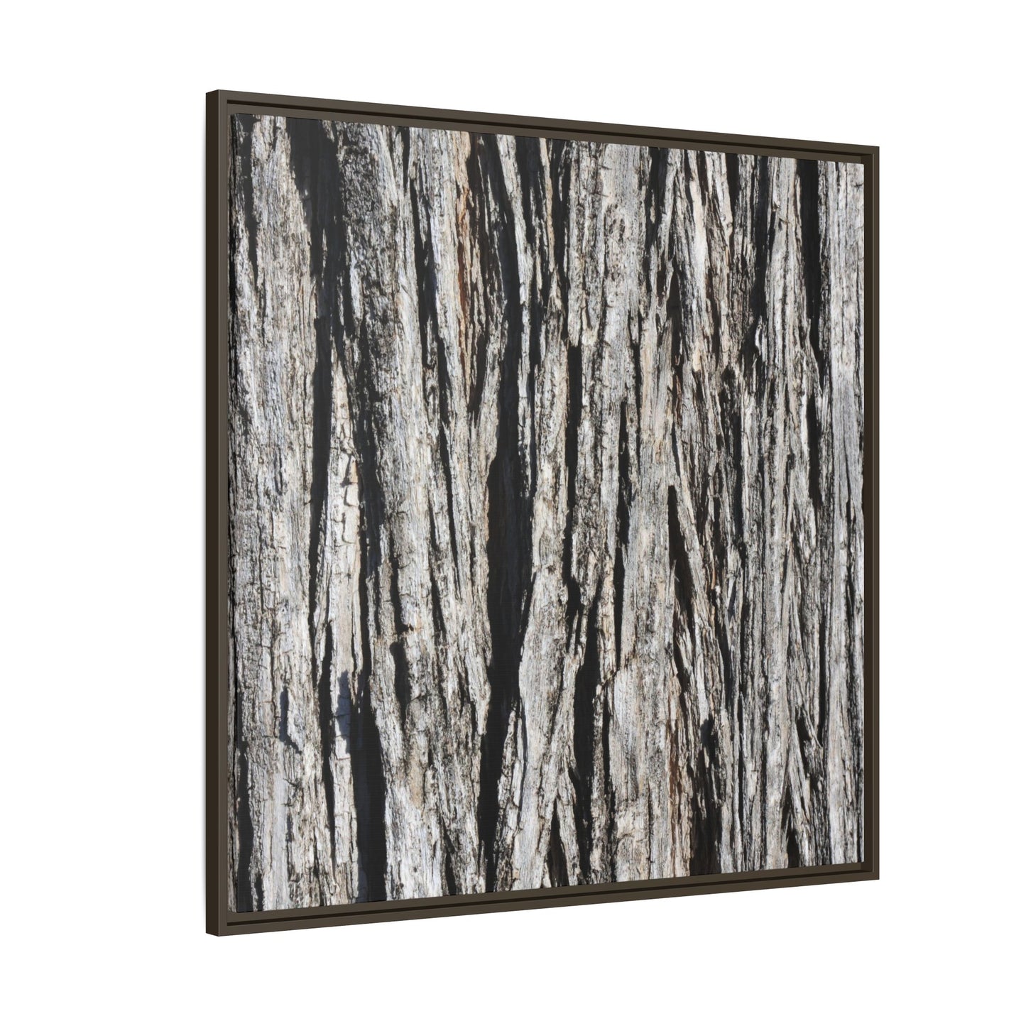 Bark Lines - Unique Stretched Canvas Wall Art