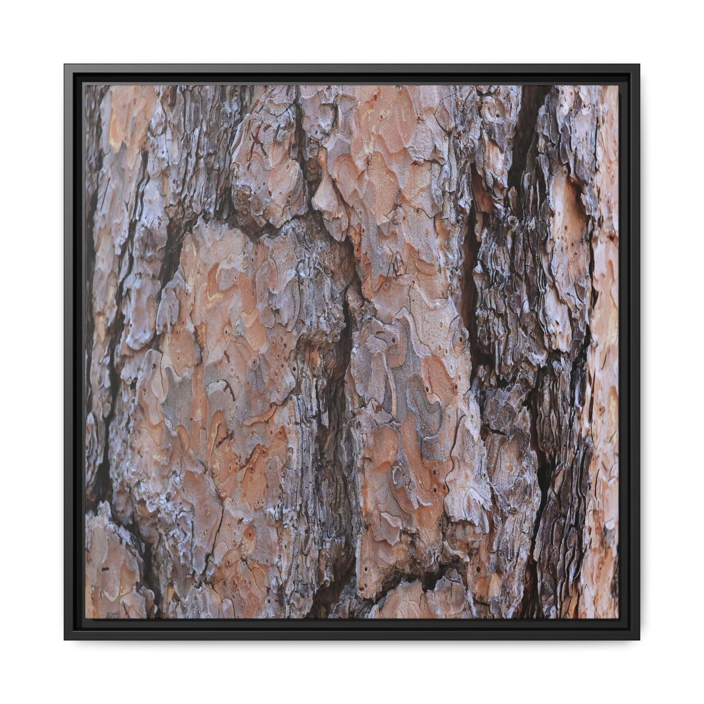 Tree Skin Symphony - Unique Stretched Canvas Wall Art