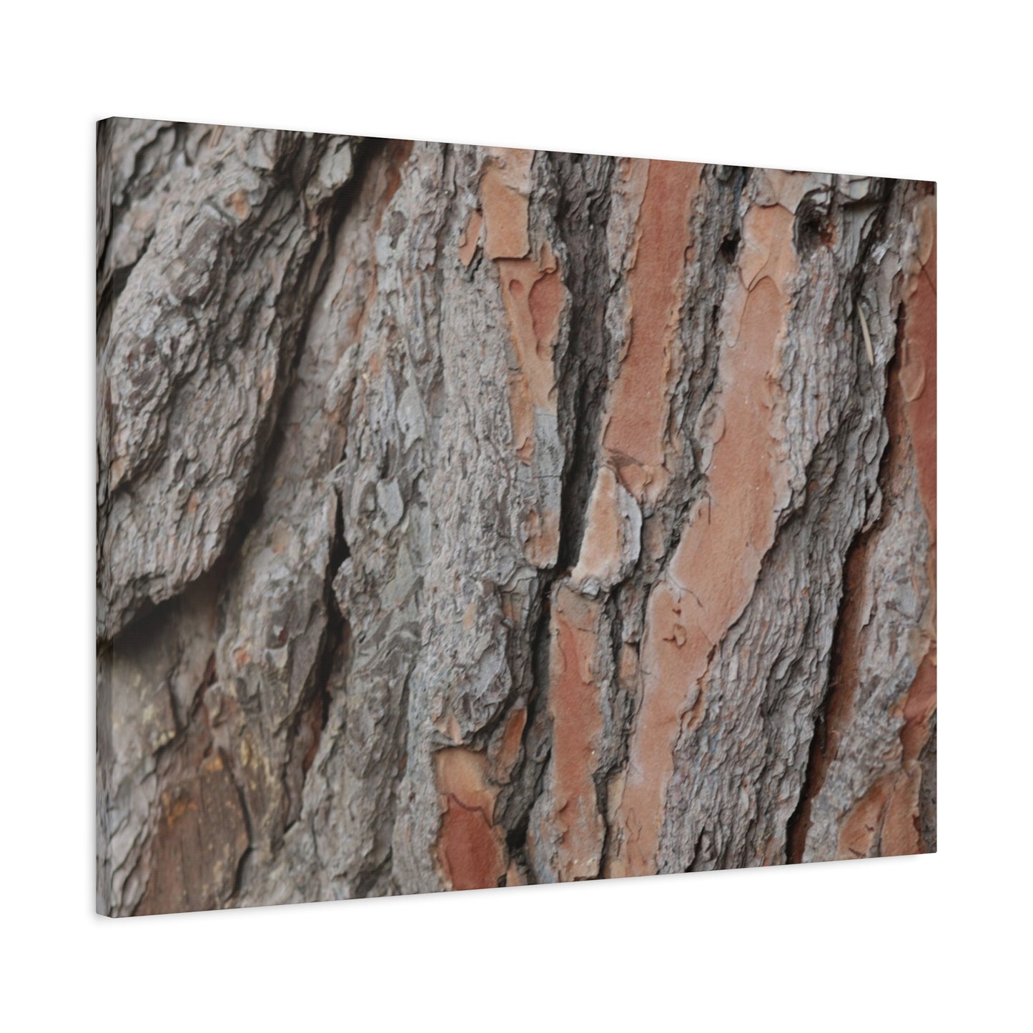 Fractal Landscape - Unique Frameless Canvas Wall Art