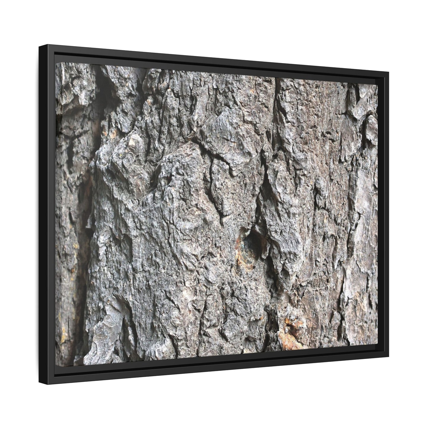 Crusty Exterior - Unique Stretched Canvas Wall Art