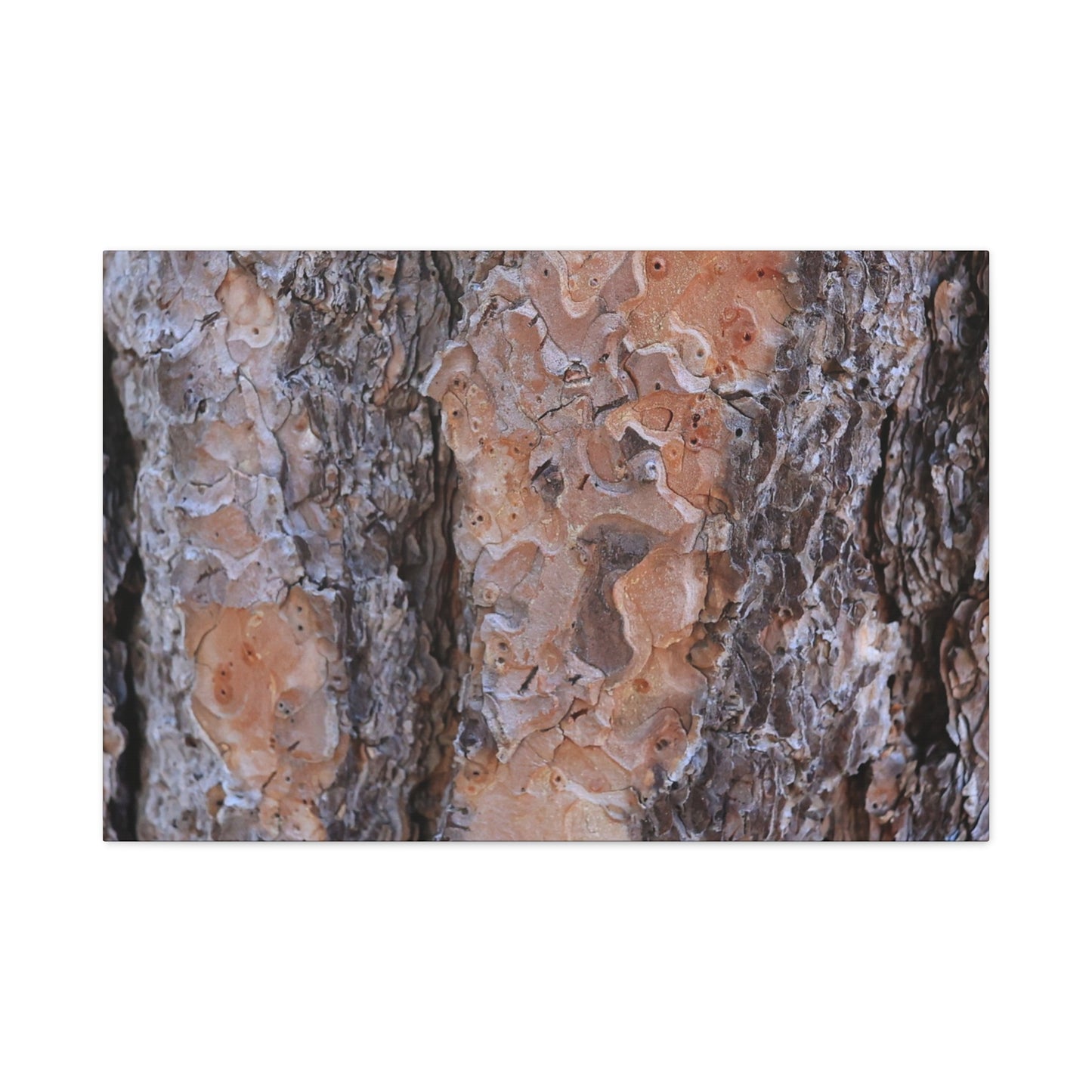 Terracotta Textures - Unique Frameless Canvas Wall Art