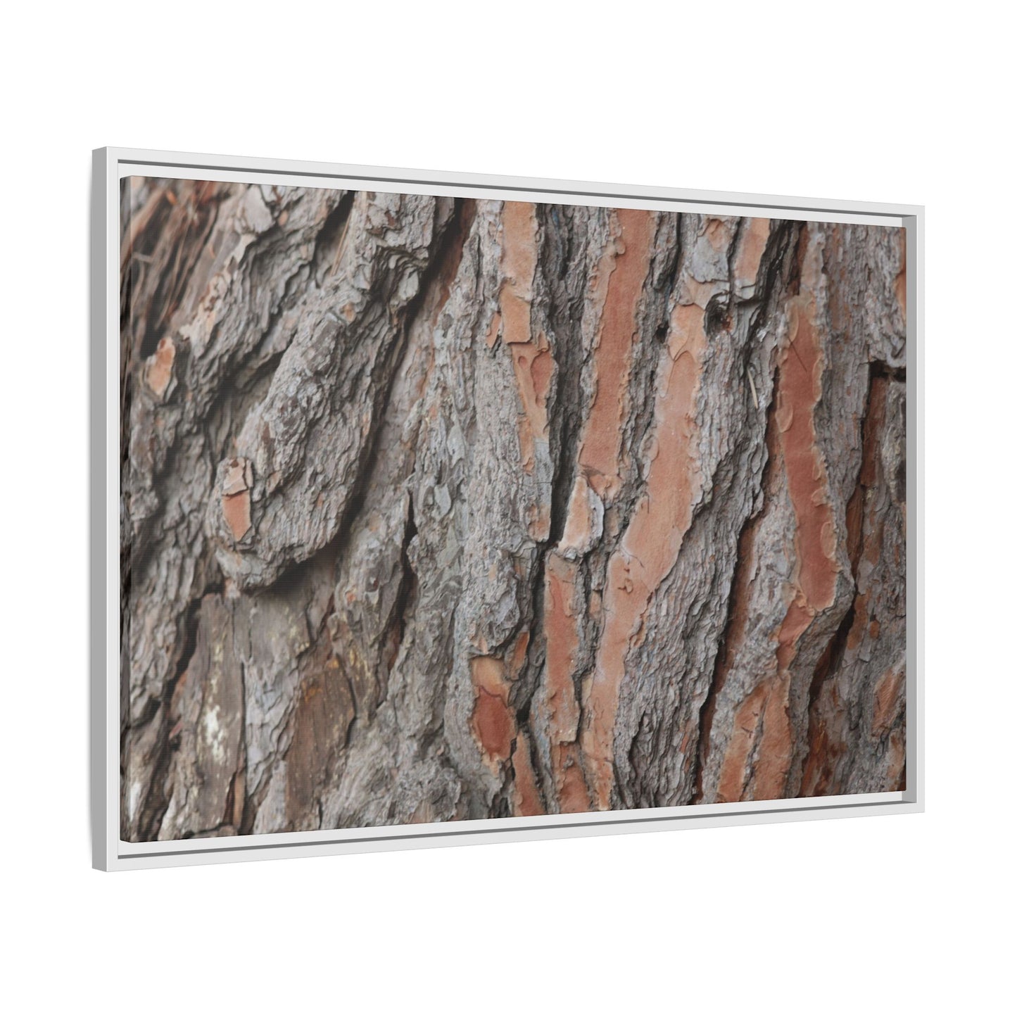 Woodland Layers - Unique Stretched Canvas Wall Art