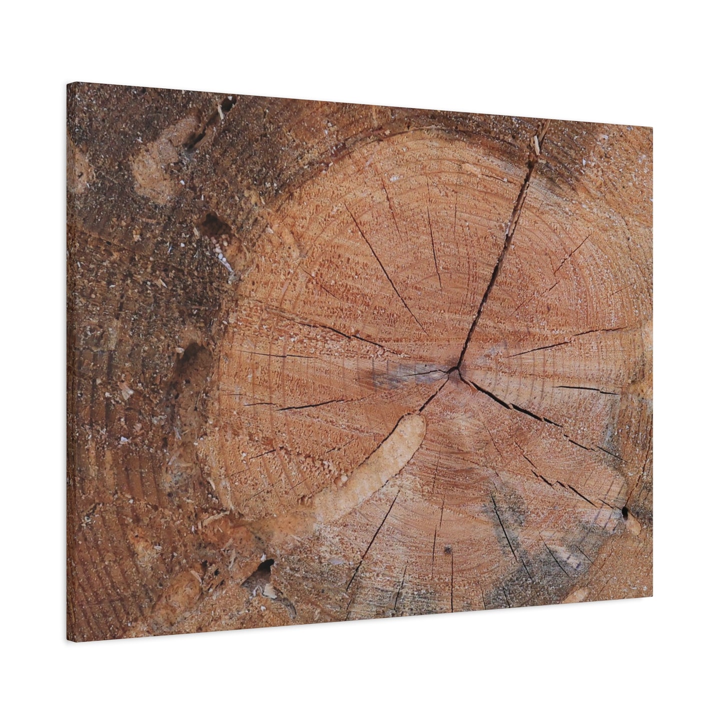 Timber Tale - Unique Frameless Canvas Wall Art