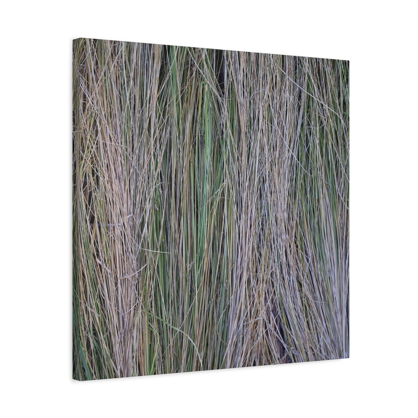 Whispers of Grass - Unique Frameless Canvas Wall Art