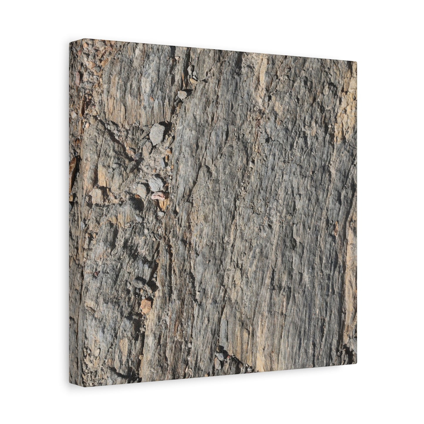 Bark Echoes - Unique Frameless Canvas Wall Art