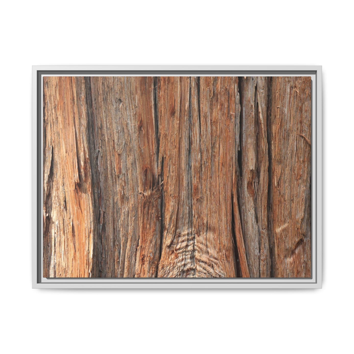 Echoes of Timber - Unique Stretched Canvas Wall Art