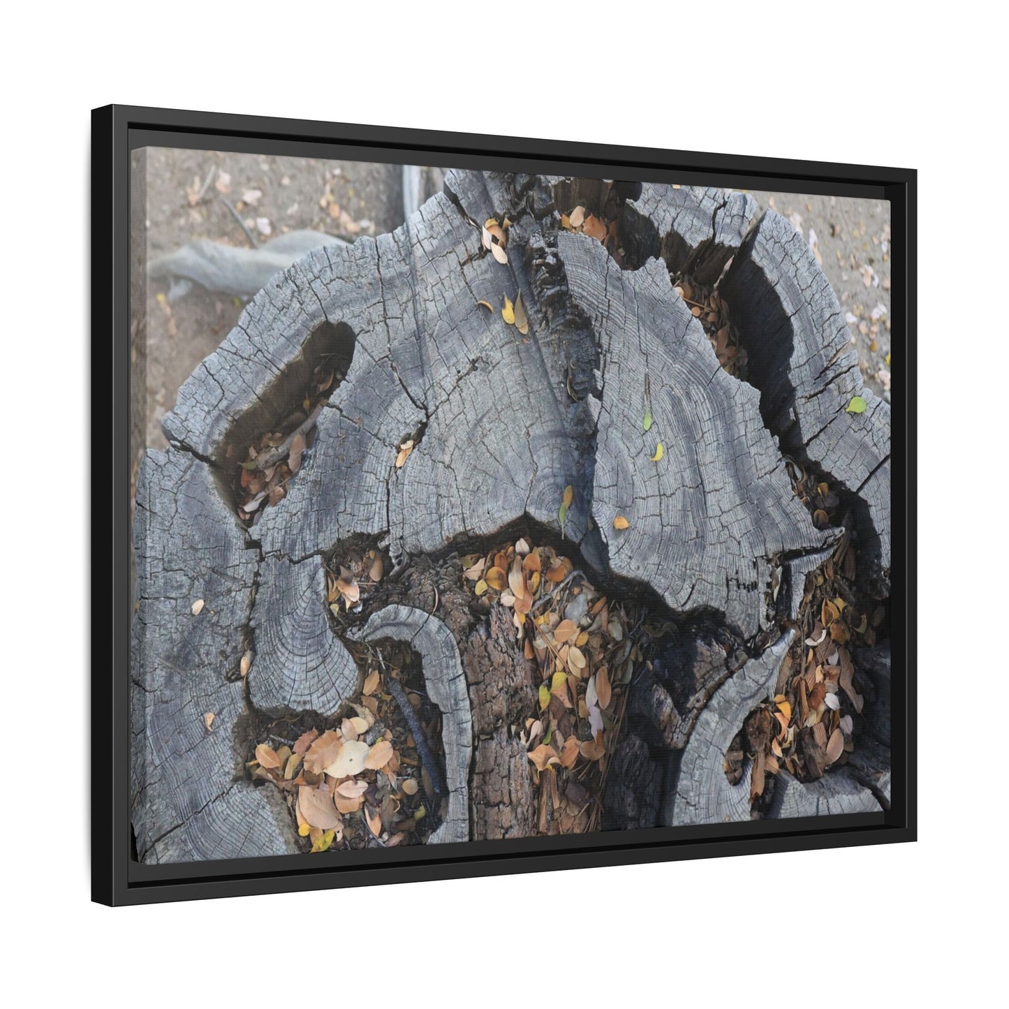 Time's Fractal Memory - Unique Stretched Canvas Wall Art
