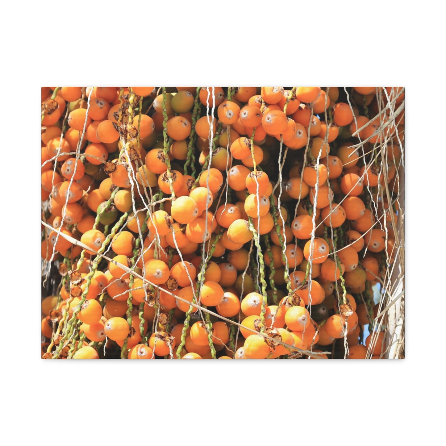 Orange Harvest - Unique Frameless Canvas Wall Art