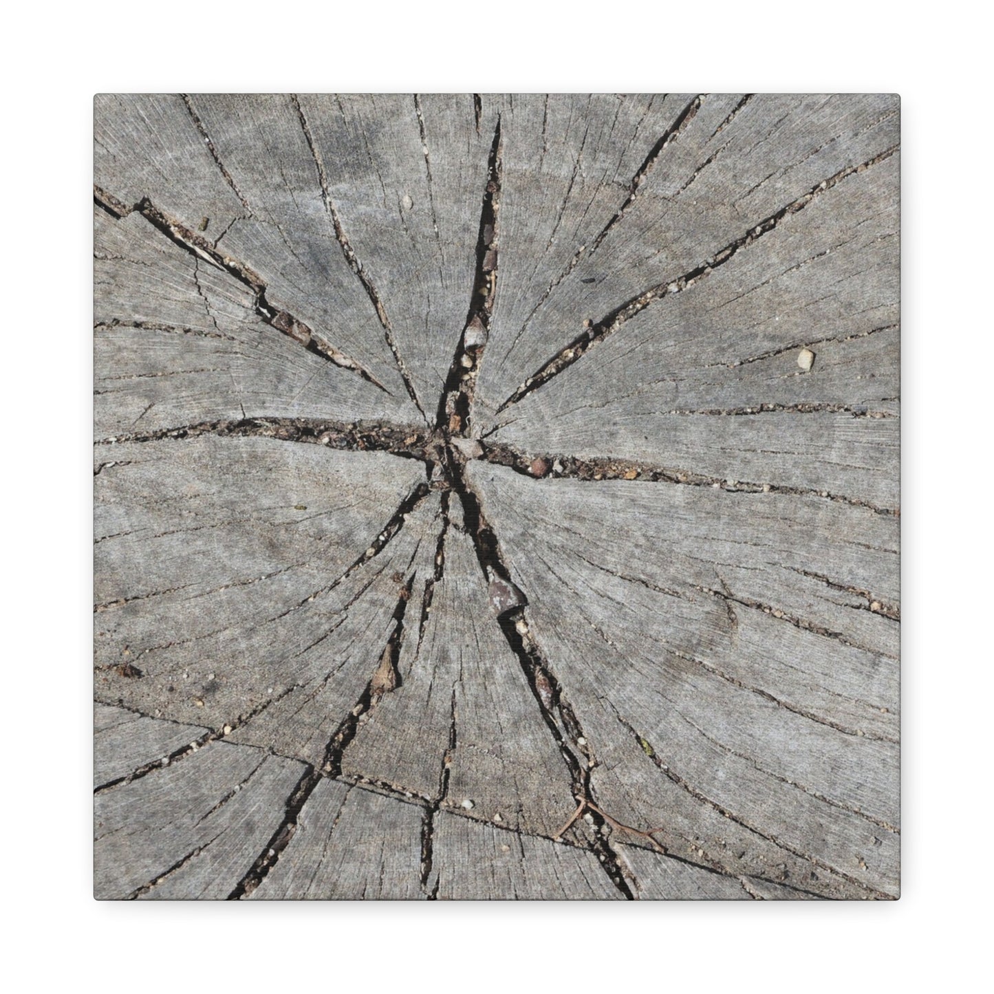 Cracked Chronicle - Unique Frameless Canvas Wall Art