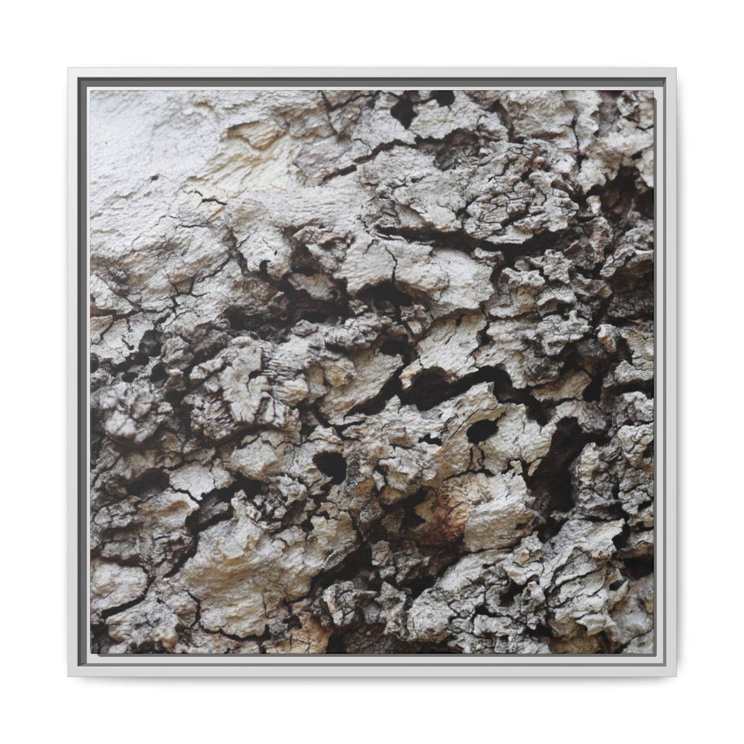 Cracked Terrain - Unique Stretched Canvas Wall Art