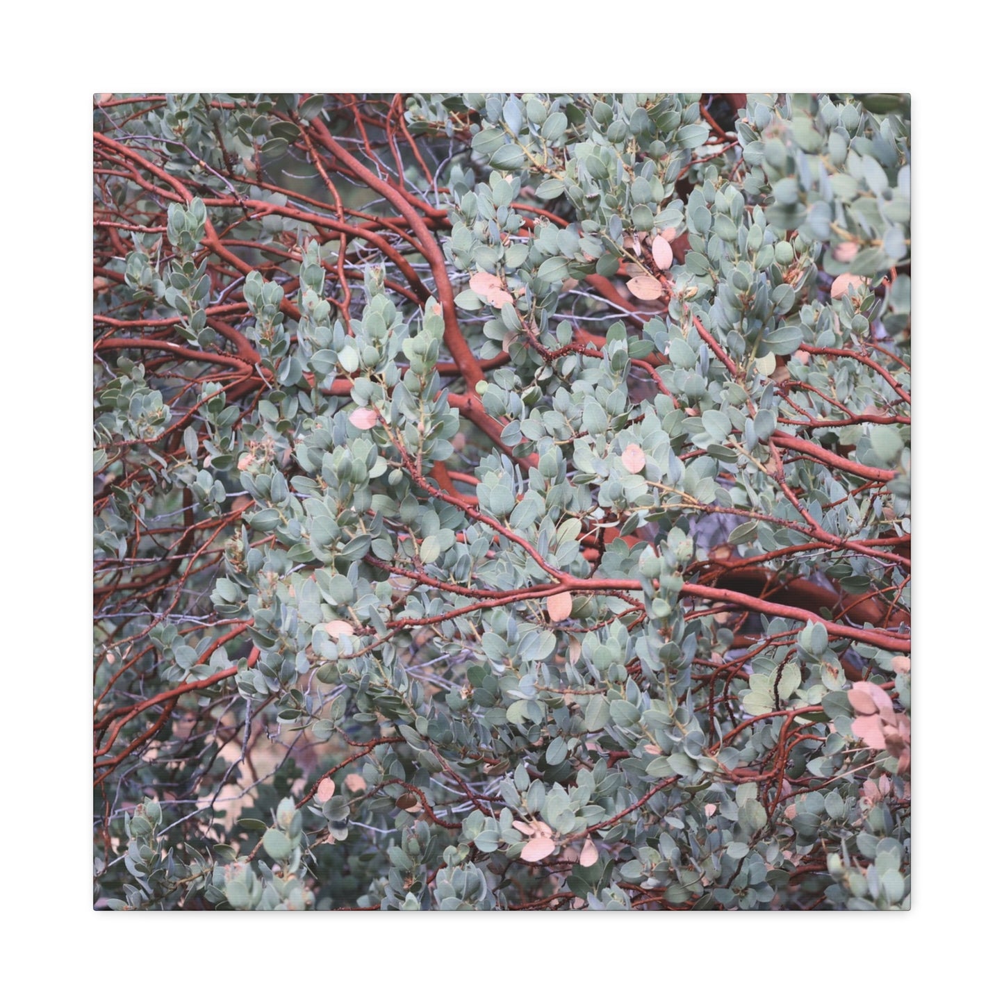 Whispers of Silver and Rust - Unique Frameless Canvas Wall Art