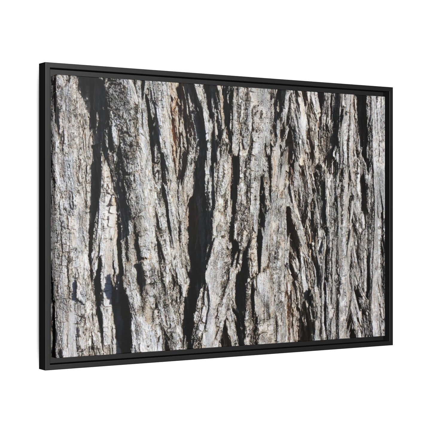 Bark Lines - Unique Stretched Canvas Wall Art