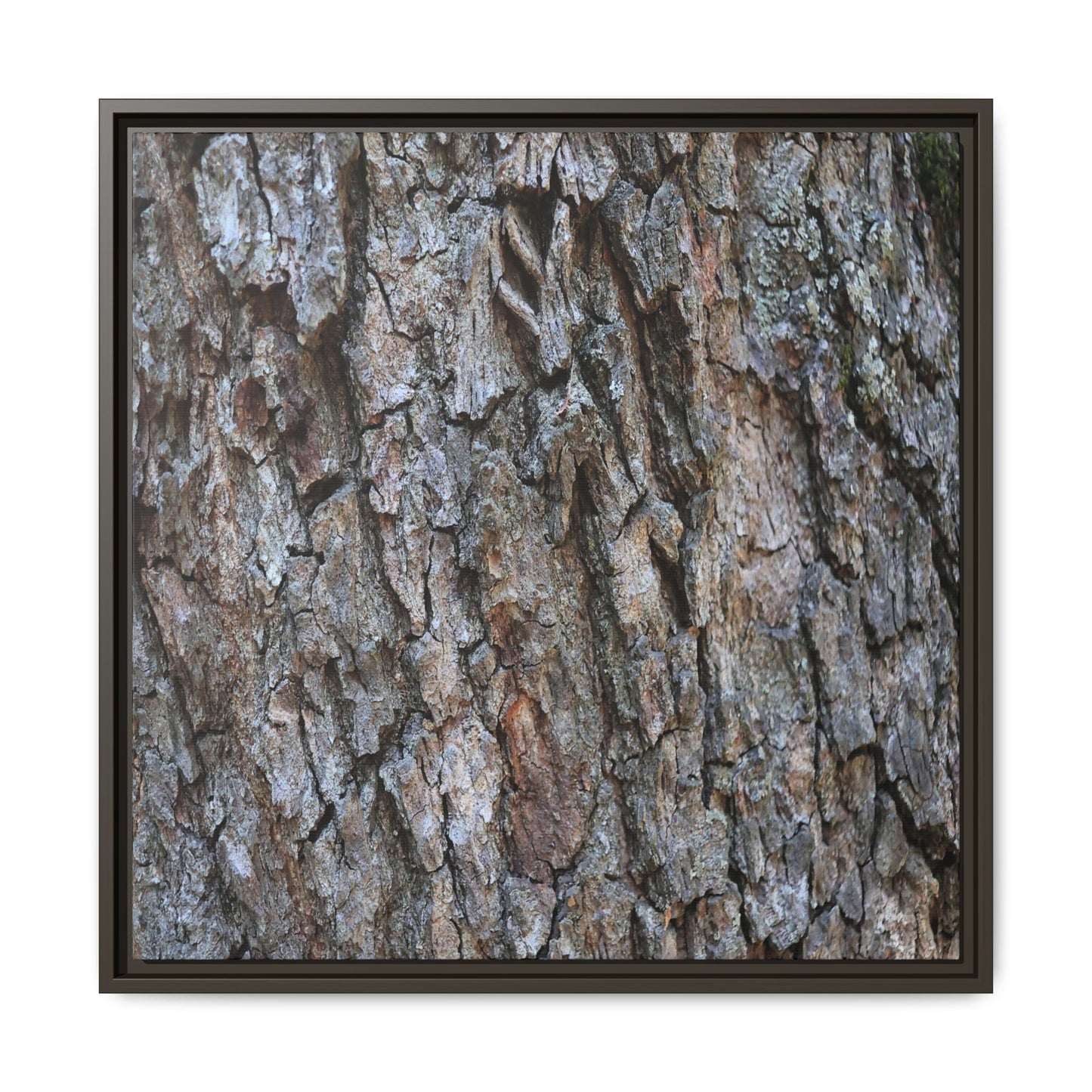 Woodland Skin - Unique Stretched Canvas Wall Art
