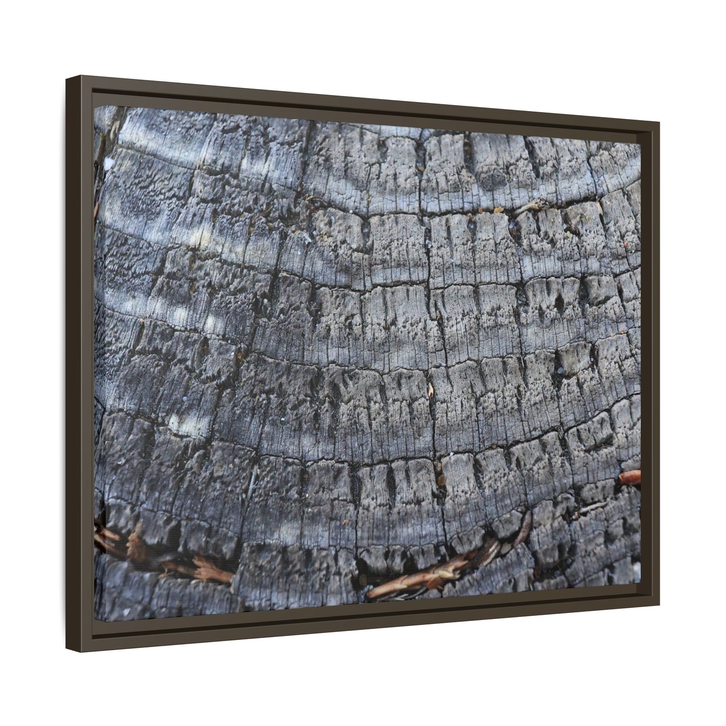 Charred Memories - Unique Stretched Canvas Wall Art