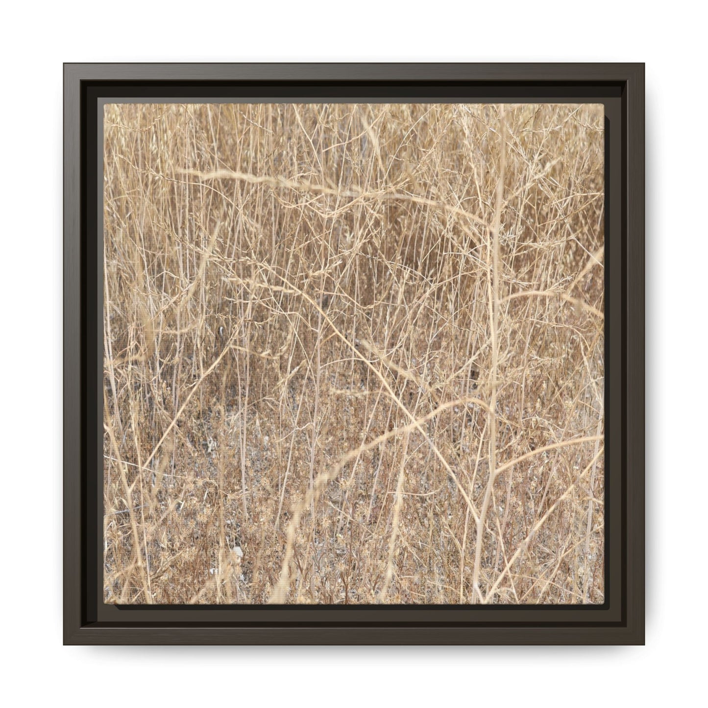 Golden Stalks - Unique Stretched Canvas Wall Art