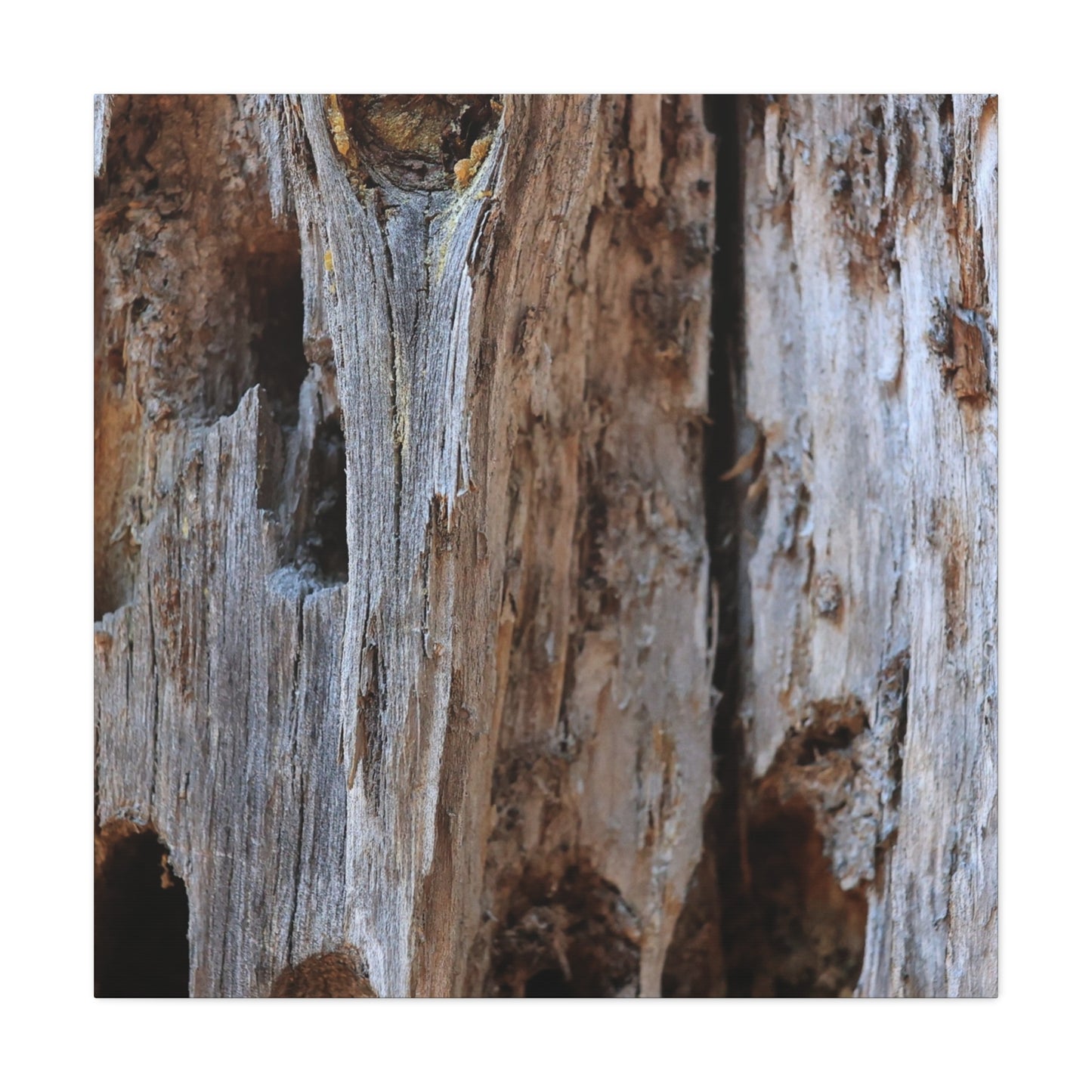 Timber Tapestry - Unique Frameless Canvas Wall Art