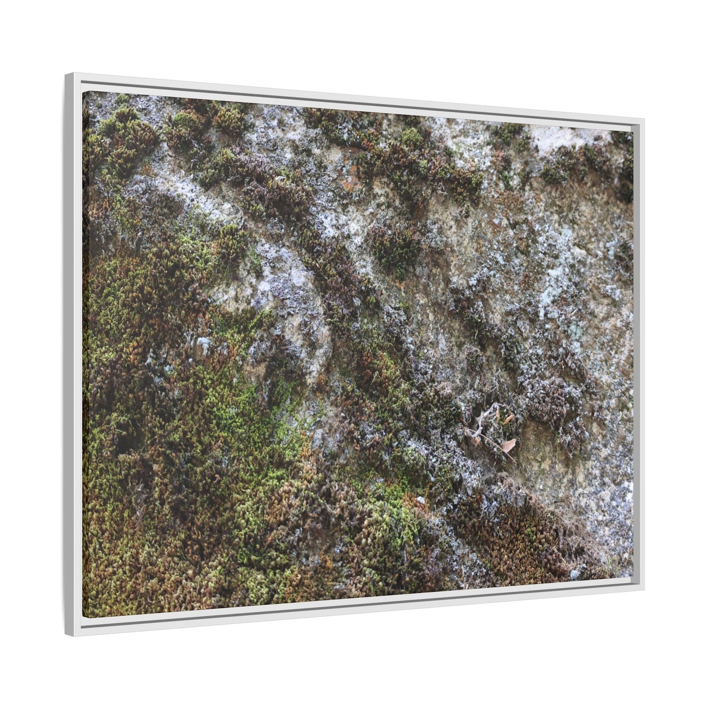 Mossy Whispers - Unique Stretched Canvas Wall Art