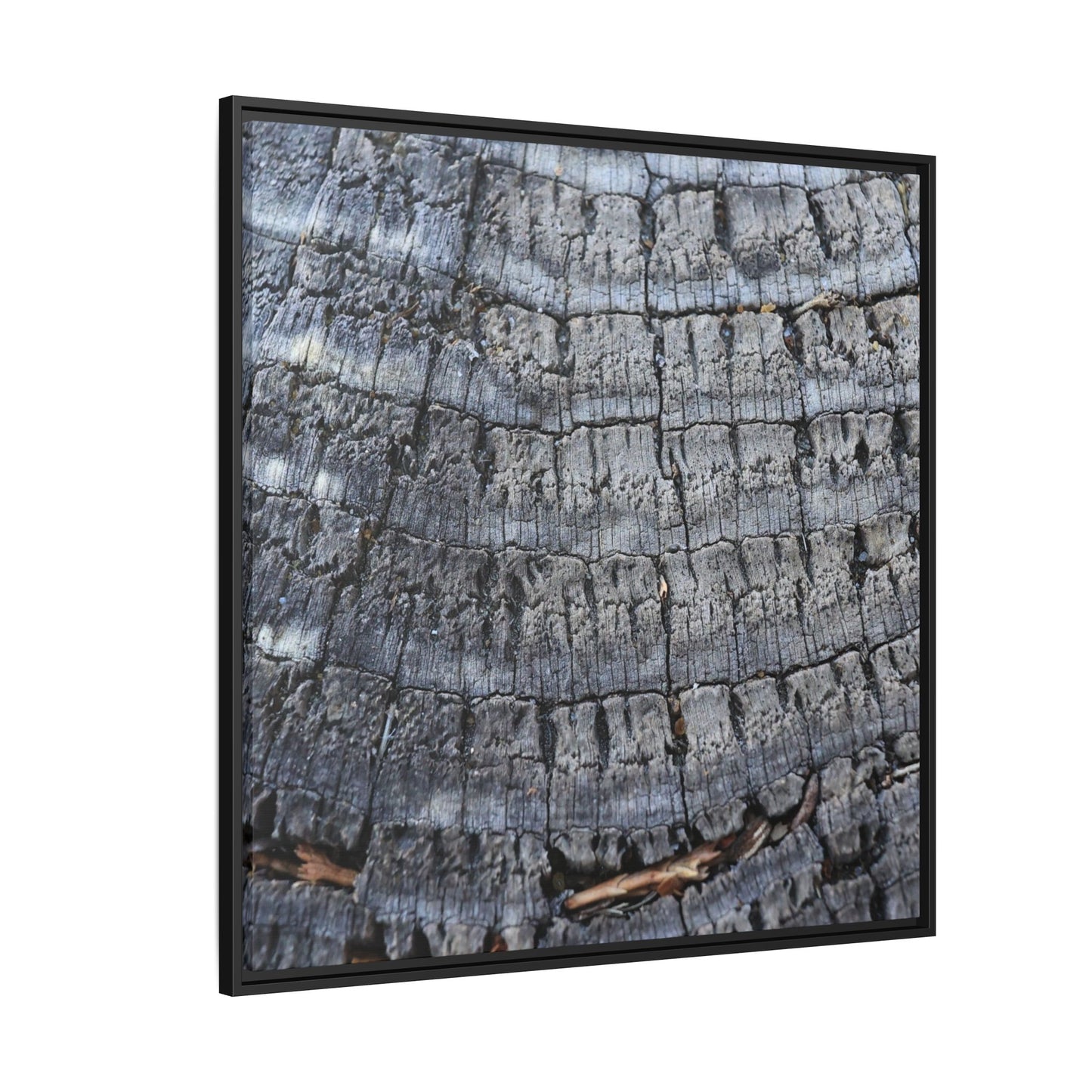 Charred Memories - Unique Stretched Canvas Wall Art