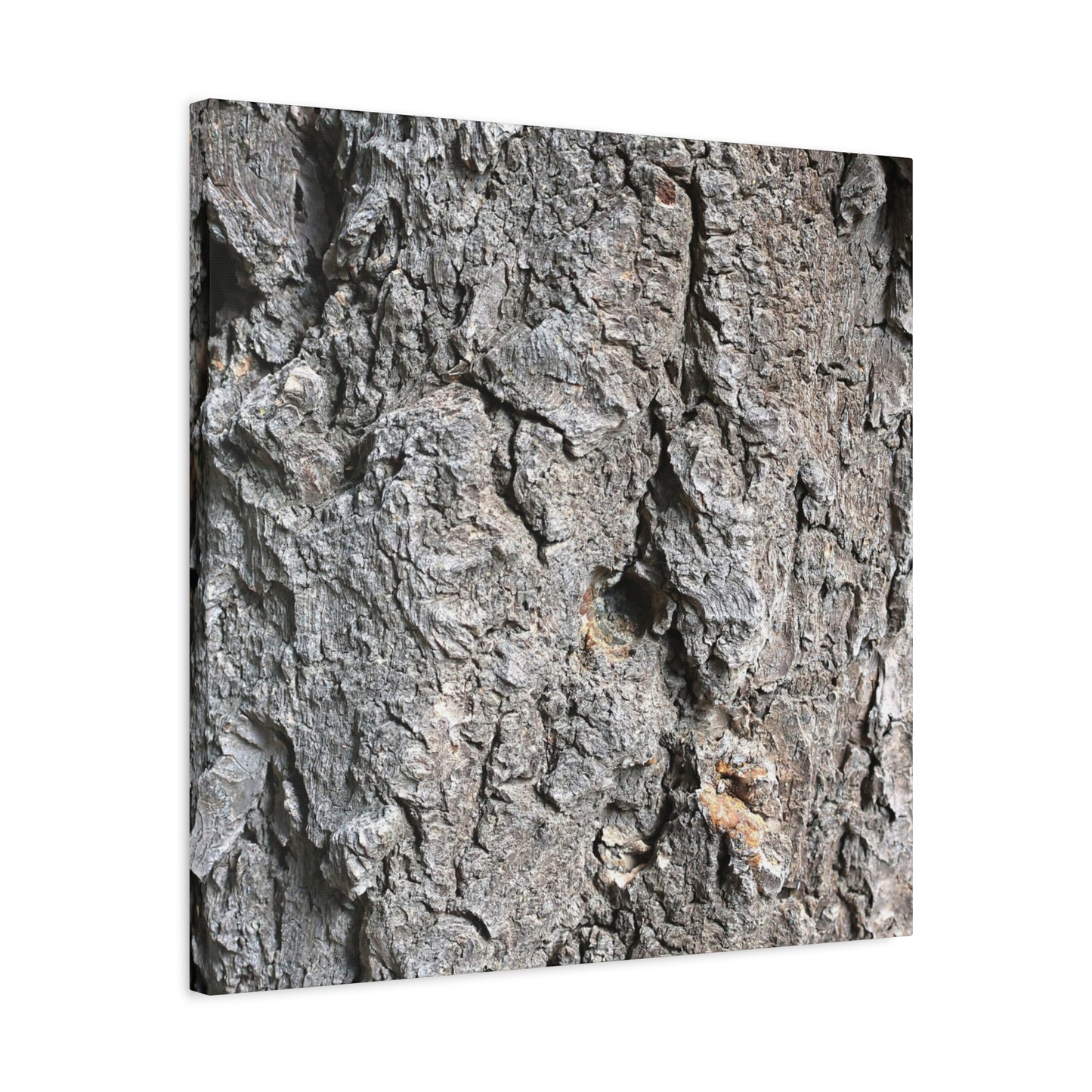 Elemental Canvas - Unique Frameless Canvas Wall Art