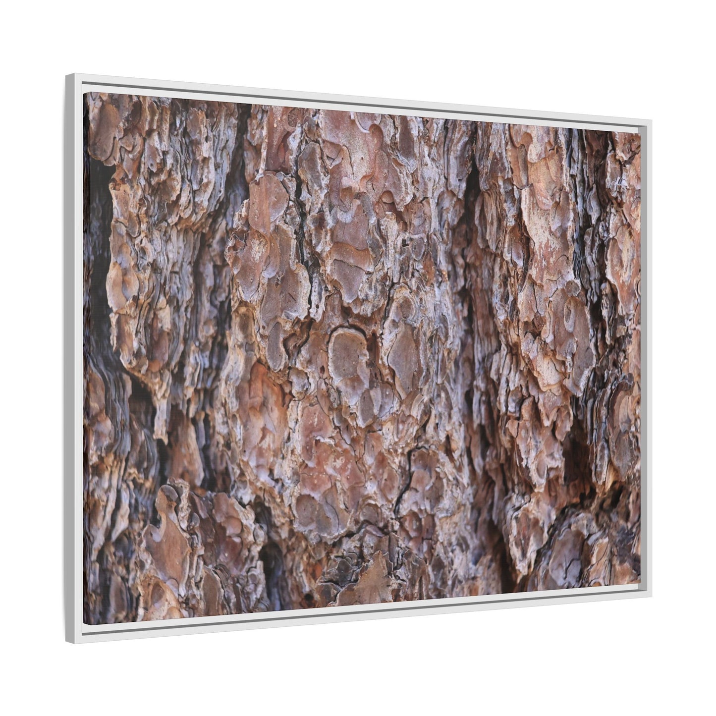 Woody Layers - Unique Stretched Canvas Wall Art