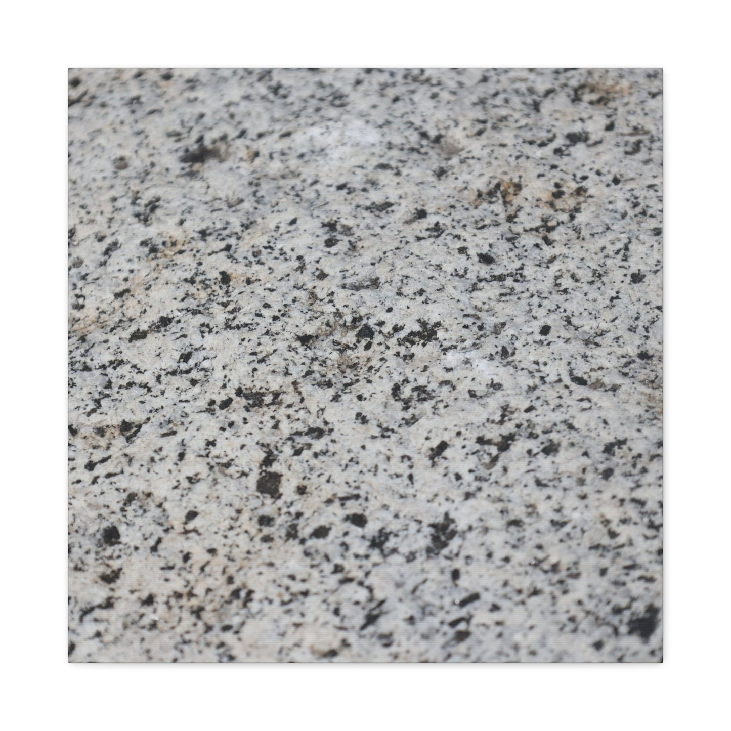 Speckled Silence - Unique Frameless Canvas Wall Art