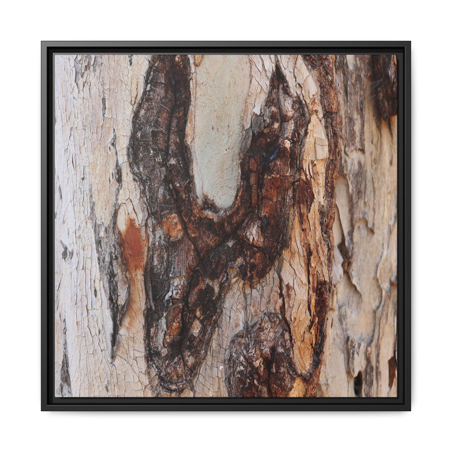 Texture of Time - Unique Stretched Canvas Wall Art